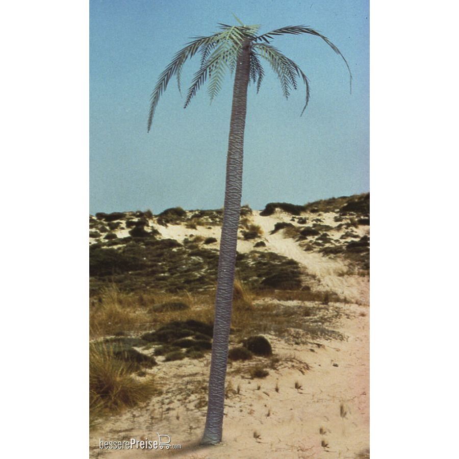 Royal Model RM056 - Palm tree