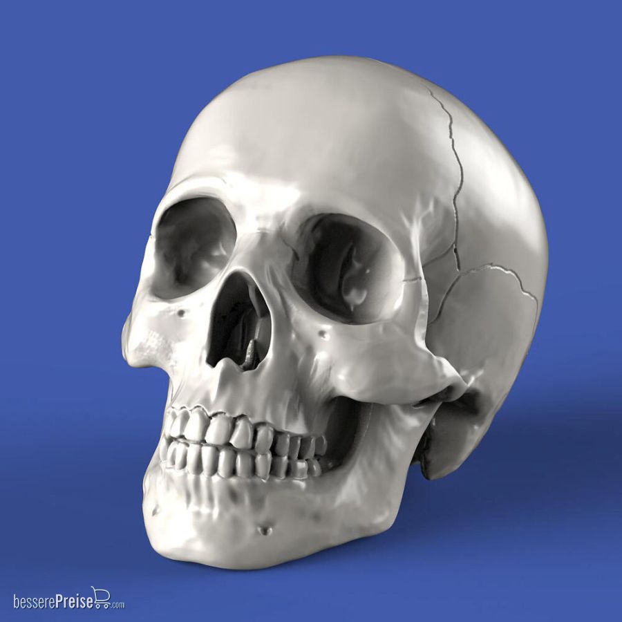 Royal Model RM912 - Skulls (54mm)