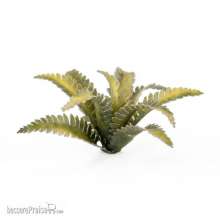 Gamers Grass GGLP-DF - Deer Fern