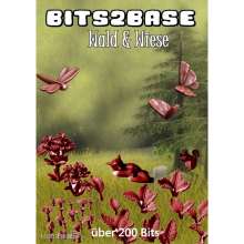 Zombiezeit B2B-008 - Bits2Base Wald & Wiese