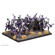 Mantic MGKWV301 - Twilight Kin Corsairs Regiment