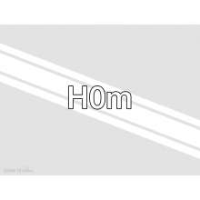 Halling UPG-H0M - Upgrade eines HALLING-Modells auf H0m