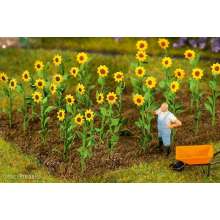 Faller 181256 - 16 Sonnenblumen