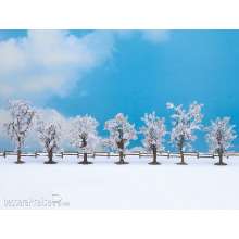Noch 25075 - Winterbäume