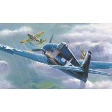 Hobby Boss 80339 - 1:48 F6F-5 Hell cat