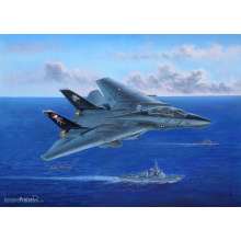 Hobby Boss 80367 - 1:48 F-14B Tomcat