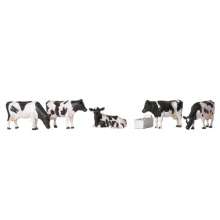 Bachmann 36-081 - Cows