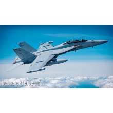 Hobby Boss 385814 - 1/48 EA-18G Growler