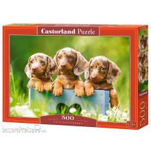 Castorland B-53605 - Cute Dachshunds Puzzle 500 Teile