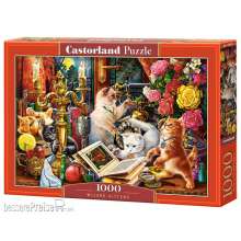 Castorland C-104857-2 - Wizard Kittens Puzzle 1000 Teile