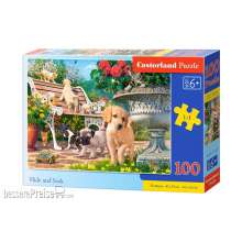 Castorland B-111220 - Hide and Seek Puzzle 100 Teile