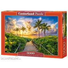 Castorland C-300617-2 - Colorful Sunrise in Miami, USA Puzzle 3000 Teile