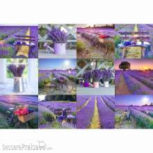 Wooden City 502250 - Wooden City: Wooden Puzzle Lavender France M