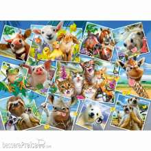 Wooden City 502273 - Wooden City: Wooden Puzzle Animal Postcards L