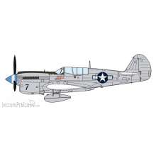 Hasegawa 607516 - 1/48 P-40N Warhawk Natural Metal Aces