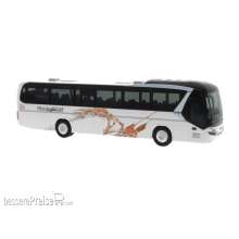 Rietze 69617 - Neoplan Jetliner Meidenbauer Königstein, 1:87