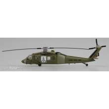 Easy Model 737017 - 1/72 UH-60A 101 st. Airborne-The Infidel II.