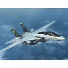 Trumpeter 03919 - 1:144 F-14D Tomcat