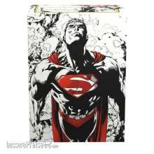 Dragon Shield ART16076 - WB100 Dual Art - Superman Core (Red/White)