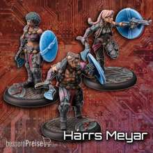 Freebooter Miniatures FMAFAR04 - Ascending Fate: Unitbox Arvingar Harrs Meyar