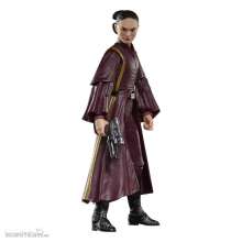 Hasbro HASG0025 - Star Wars Episode I Black Series Actionfigur Padmé Amidala 15 cm