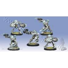 Warmachine PIP36022 - Cyriss Eradicators Unit Box (5) (plastic)