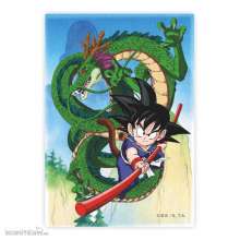 SD Toys SDTDRB25215 - Dragon Ball Magnet Shenron und Goku