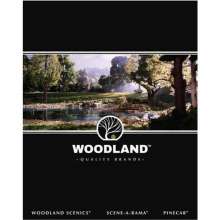 Woodland Scenics W020170 - Woodlands Katalog