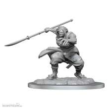 Wizkids WIZ90490 - D&D Nolzur´s Marvelous Miniatures Miniaturen unbemalt Oni Female Umkarton (4)