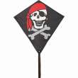 HQ 100053 - Eddy Jolly Roger