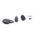 HD Models HDM35160 - Pine cones and Mushrooms / Tannenzapfen und Pilze