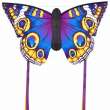 HQ 106548 - Butterfly Kite Buckeye L