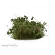 Gamers Grass GGS-DG - Dark Green Shrubs Tufts