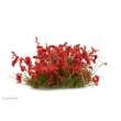 Gamers Grass GGF-RED - Red Flowers Tufts