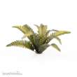 Gamers Grass GGLP-DF - Deer Fern