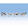 Noch 17900 - Cows black-white