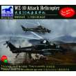 Bronco Models NB5048 - 1:350 WZ-10 Attack Helicopte