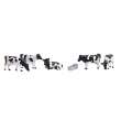 Bachmann 379-341 - Cows