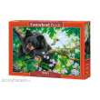 Castorland B-53629 - Wish I Could Fly Puzzle 500 Teile