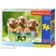 Castorland B-111213 - Cute Dachshunds, Puzzle 100 Teile