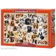 Castorland C-151943-2 - Collage with Dogs Puzzle 1500 Teile