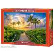 Castorland C-300617-2 - Colorful Sunrise in Miami, USA Puzzle 3000 Teile