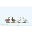 Preiser 47077 - 1:25 Enten