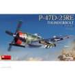 MiniArt 550048009 - 1:48 P-47D-25RE Thunderbolt Basis Kit