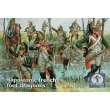 WATERLOO 1815 AP041 - Napoleonic french foot dragoons in 1:72