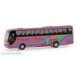 Rietze 64304 - MAN Lions Coach Fechner, 1:87