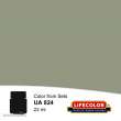 Lifecolor NUA824 - Diesel Loco Roof Grey 22 ml