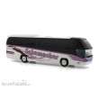 Rietze 67130 - Neoplan Cityliner 07 Schumachers Reisedienst, 1:87