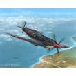 Special Hobby 100-SH48138 - Supermarine Seafire Mk.III Aeronavale&Ir in 1:48