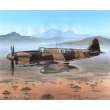 Special Hobby 100-SH48151 - Fairey Firefly FR Mk.I Foregin Post War in 1:48